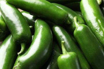 Fresh green jalapeno peppers as background, closeup