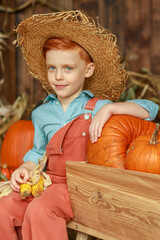 A boy with red hair, a straw hat, and orange overalls picks pumpkins. Autumn. Harvest.
