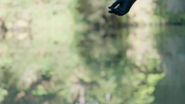 A woman's hand in a black glove drops a white feather onto the surface of the water. Natural background