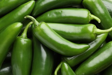 Many green jalapeno peppers as background, closeup