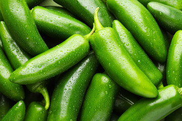 Many wet green jalapeno peppers as background, closeup