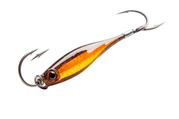 Responsible fishing techniques isolated on transparent background