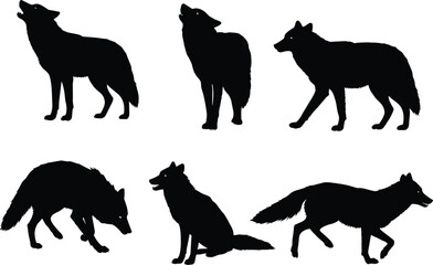 Black wolf silhouettes collection, wild animal howling, walking, sitting, standing, hunting, isolated on white background, predator vector illustration, wildlife design