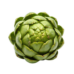 Obraz premium artichoke isolated on white background