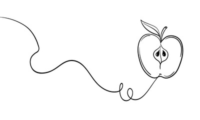 Apple, continuous line drawing. Food, fruit line art. Vector illustration