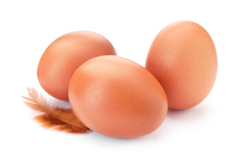 Raw chicken eggs and feather isolated on white