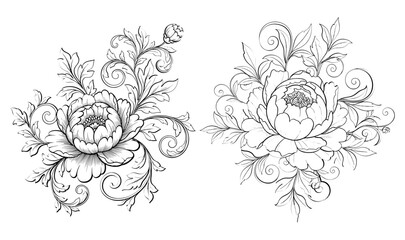 Vector art of two peony flower arrangements with intricate details, ideal for artistic and decorative projects