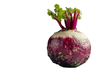 Nutritional beetroot benefits isolated on transparent background