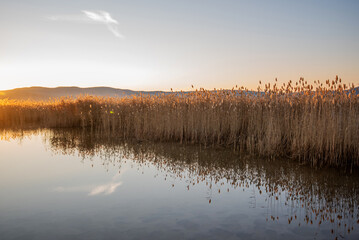 As the sun sets, its golden glow reflects off a tranquil lake and illuminates the reeds, creating a serene scene at the water's edge with distant mountains silhouetted against the vibrant sky