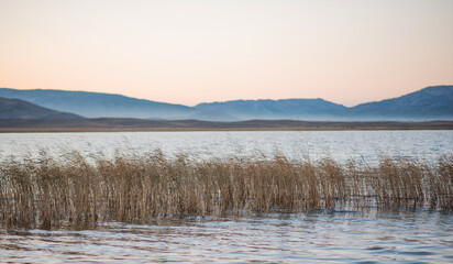 lake side at dusk with golden reeds swaying gently in the foreground. The calm waters reflect the subtle pastel hues of the sunset sky, while rolling hills create a soft silhouette in the background