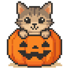 Fototapeta premium Cute gray cat peeking from smiling orange Halloween pumpkin in pixel art style