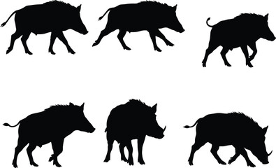 Wild boar silhouette vector set, walking, standing, hunting, black pig shapes, animal wildlife illustration, forest mammal design, rustic artwork collectionWild boar silhouette vector set, walking