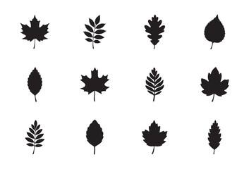 Autumn Leaves Silhouettes Flat Design Set