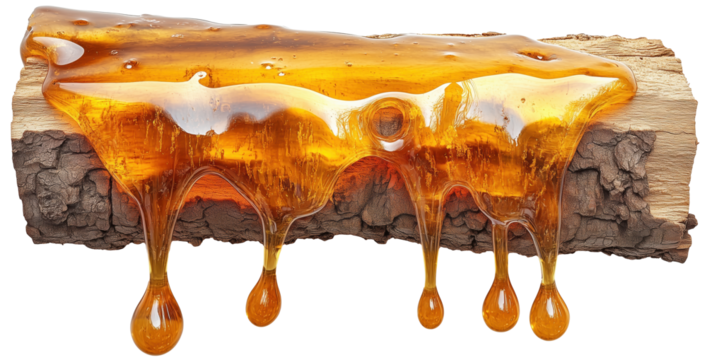 Log with abundant resin dripping from it, natural wood detail isolated on a transparent background.