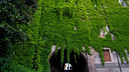 Historic stone building in Rome covered with dense green ivy, featuring wooden window shutters. Silhouetted figures are visible in the tunnel beneath the vibrant vertical greenery.