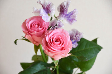 薔薇とスイートピー