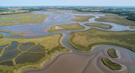 Aerial view of a network of winding waterways and marshland