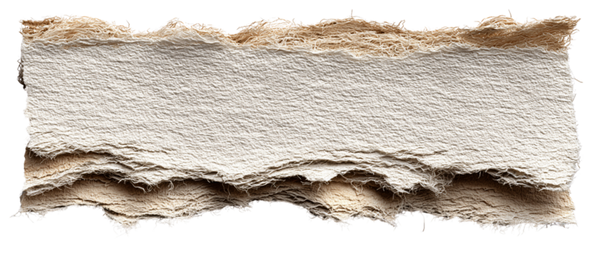 Organic Deckle-Edge Torn Paper with Layered Fibers Texture