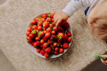 A young child's hand reaches into a white bowl full of fresh, ripe strawberries, which sits on a...