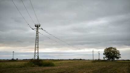 stormy clouds above harvested fields in Vojvodina