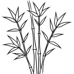 Bamboo Line Art Vector