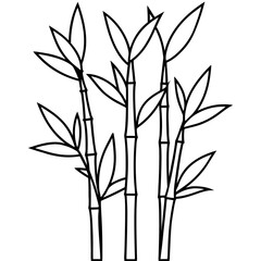 Obraz premium Bamboo Line Art Vector