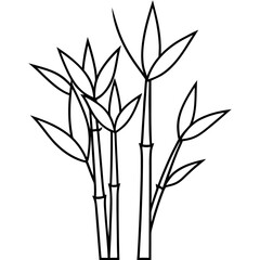 Bamboo Line Art Vector
