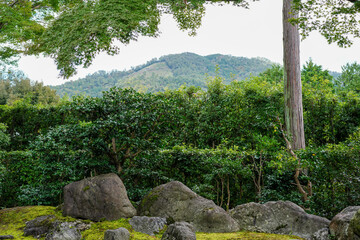 木々の緑が美しい京都の寺院の境内の風景