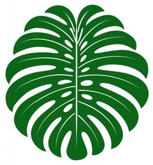 Dark green, circular monstera leaf graphic