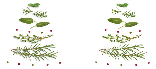 Set of mediterranean herbs  with red peppercorns and green coriander seeds in the shape of a Christmas tree. Food background. On isolated transparent background. Cut out. With and without shadow. PNG