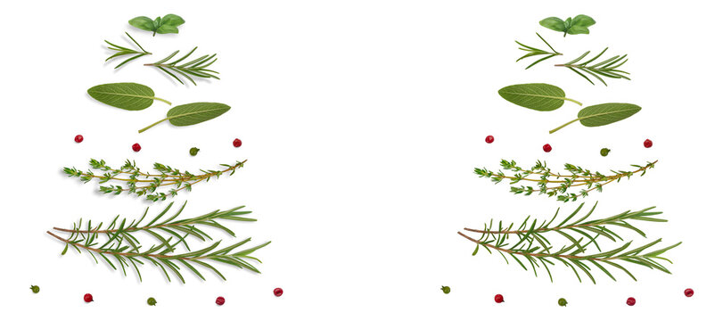 Set of mediterranean herbs  with red peppercorns and green coriander seeds in the shape of a Christmas tree. Food background. On isolated transparent background. Cut out. With and without shadow. PNG