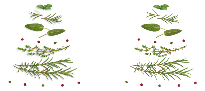 Set of mediterranean herbs  with red peppercorns and green coriander seeds in the shape of a Christmas tree. Food background. On isolated transparent background. Cut out. With and without shadow. PNG