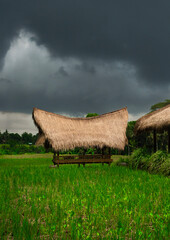 Discover the tranquility of a Ubud gazebo surrounded by lush greenery before the rain.