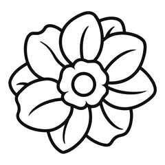 Anemone Bloom Vector