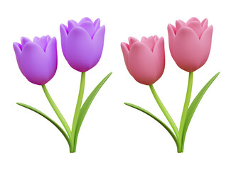Two pairs of tulips isolated on transparent background