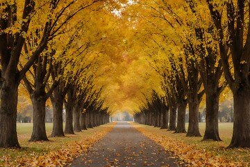Fototapeta premium autumn in the park