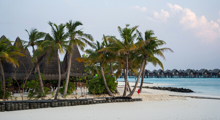 Tropical beach at sunset with tall palm trees, white sand, turquoise water, and luxury over water bungalows in the background, creating a serene and idyllic island setting.