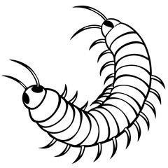Millipede line art vector