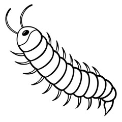 Millipede line art vector