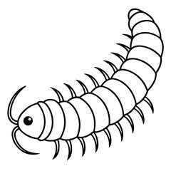Millipede line art vector