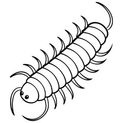 Millipede line art vector