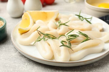 Uncooked squid rings and ingredients on grey table, closeup