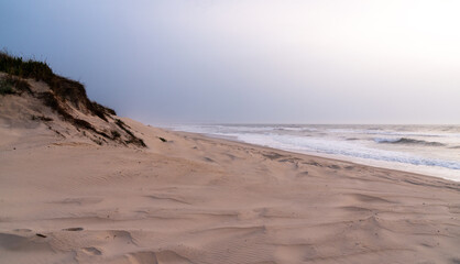 A serene, sandy beach with gentle waves against the shore under a soft, pastel sky. Dunes with sparse vegetation rise gently from the beach, creating a peaceful and untouched natural landscape.
