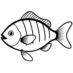 Tilapia line art vector