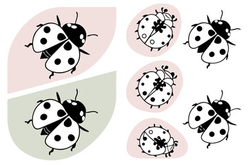 Fototapeta premium Illustration featuring multiple ladybugs with black spots on white wings and pastel color backgrounds silhouette