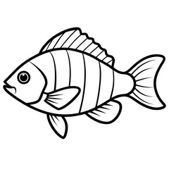 Tilapia line art vector
