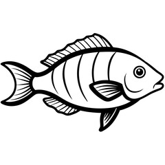 Tilapia line art vector