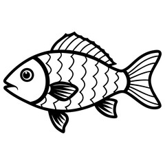 Tilapia line art vector