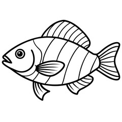 Tilapia line art vector