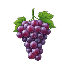 Fototapeta premium Cluster of ripe purple grapes with bright green leaves on a dark neutral background.
